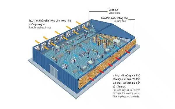 Hệ thống thông gió nhà xưởng cooling pad